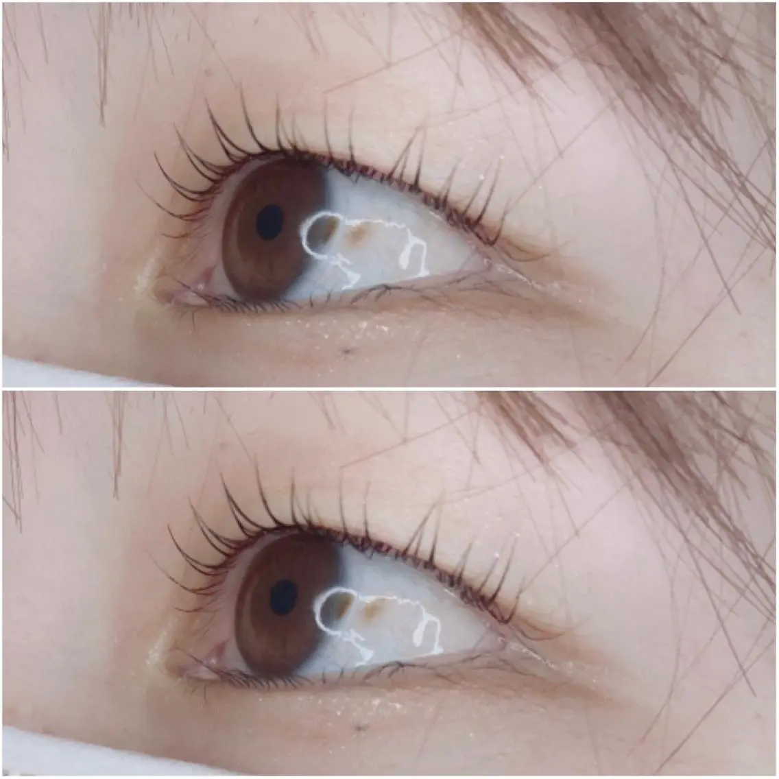 マツエク・マツパ 《eyelash ｉｉｔｅ》森のマツエク・マツパデザイン