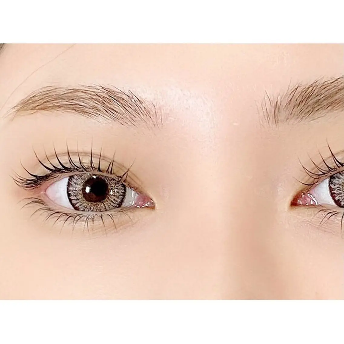 🧡Flat lash120本 +  眉ワックス🧡の写真