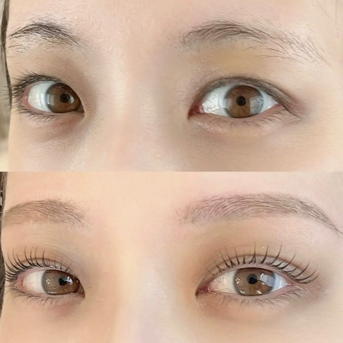 アイブロウ LELEGANCE eyelashの眉毛・アイブロウイメージ