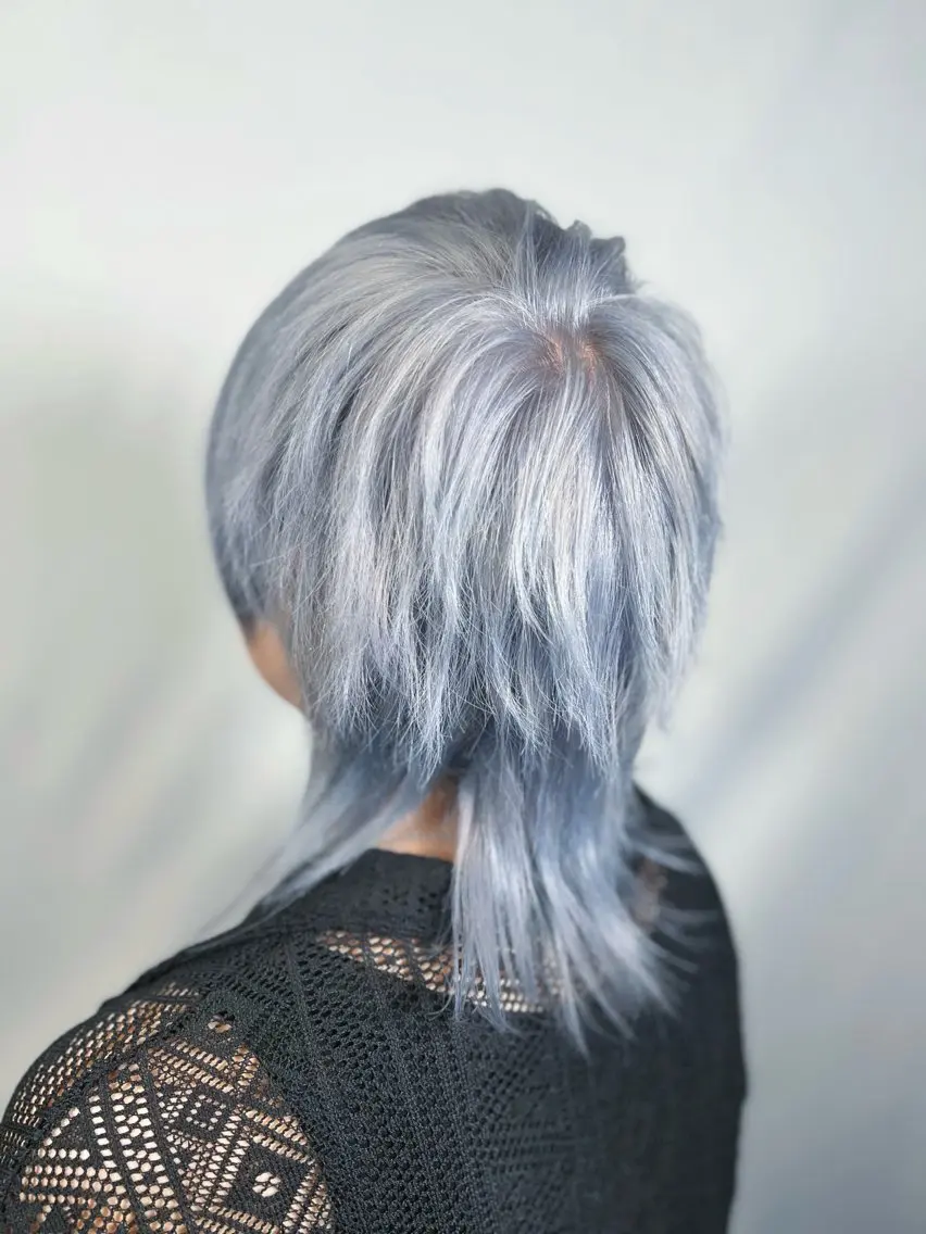 カラー ブリーチ ブルーカラー ケアブリーチ 透明感カラー シルバー ヘアカラー V系ウルフ/ホワイト ブリーチ/🐺Rinのヘアスタイル