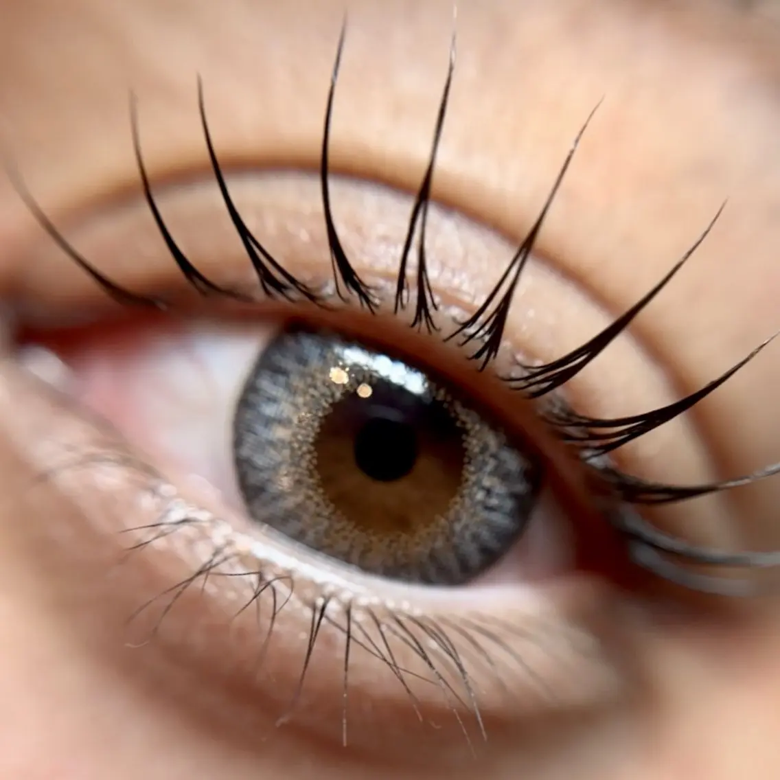 マツエク・マツパ komatsu eyelash恵比寿のマツエク・マツパデザイン