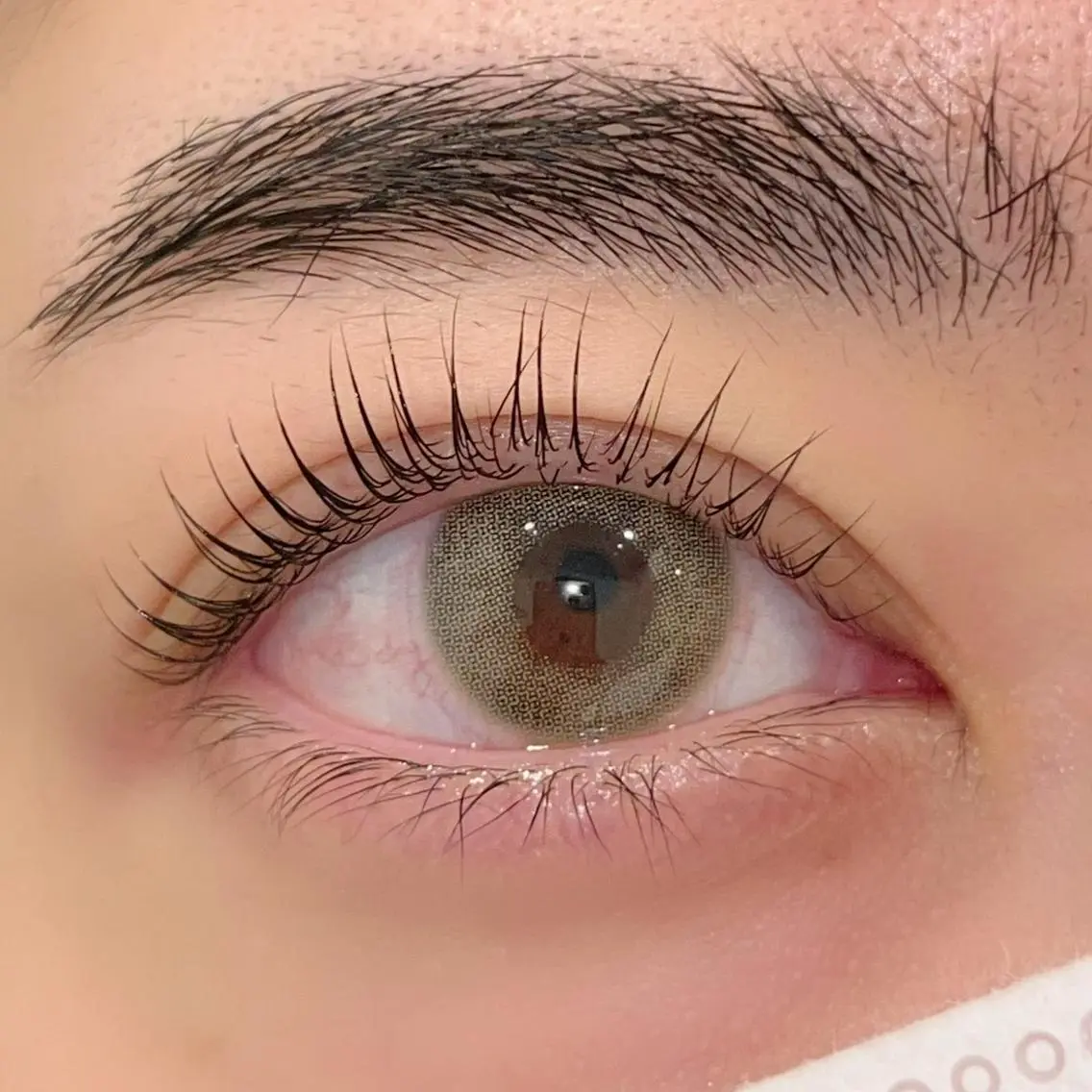 マツエク・マツパ パリジェンヌラッシュリフト まつげパーマ ai一重専門🎀束感 まつげ🫧表参道の眉毛・アイブロウイメージ