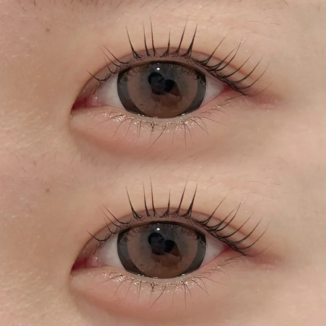 マツエク・マツパ マツパ Lily 船橋 秋本のマツエク・マツパデザイン
