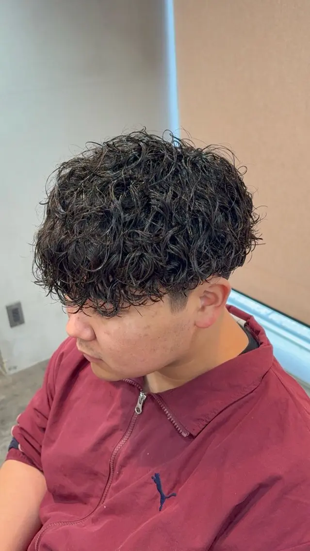 メンズ メンズパーマ プードルパーマ プードルパーマ 青木 星翔のヘアスタイル