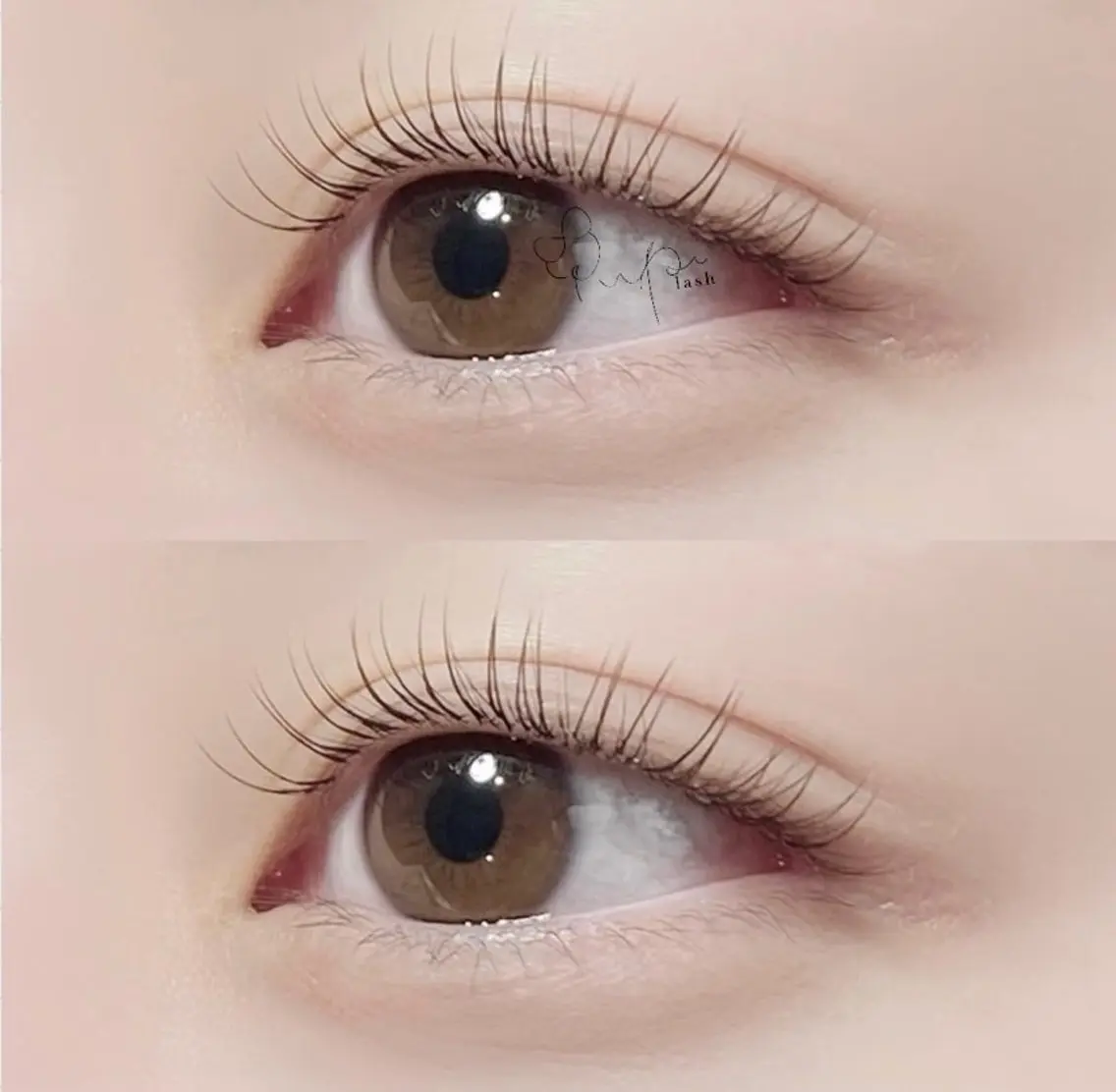 マツエク・マツパ フラットラッシュ 🐶Pupu lash🐶のマツエク・マツパデザイン