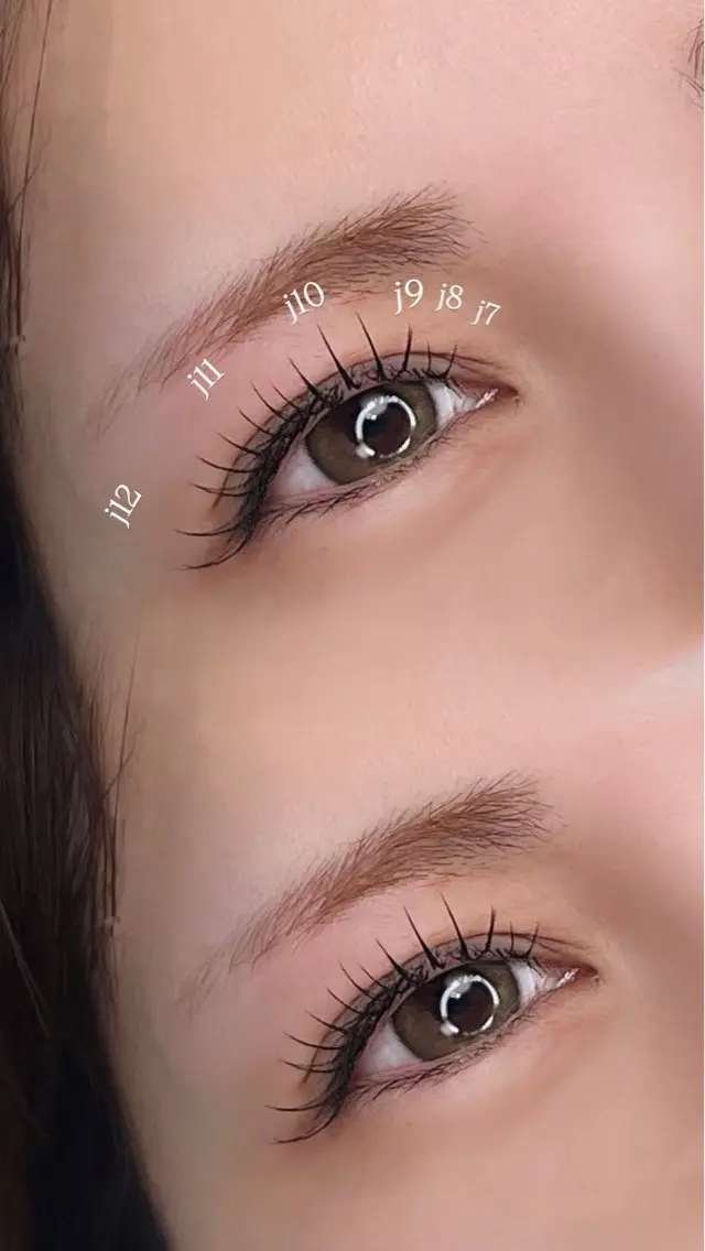 フラットラッシュ160本の写真