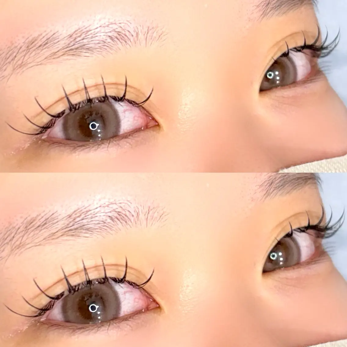 マツエク・マツパ フラットラッシュ ナチュラル マツエク Amaranth 🦋MIHO🦋のマツエク・マツパデザイン
