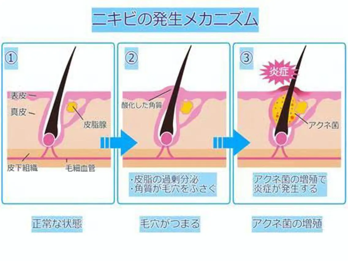 デトックス美容専門 サロンpeonyのエステ・リラクイメージ