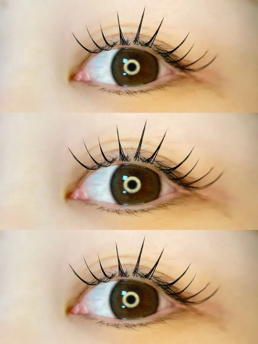 フラットラッシュ120本の写真