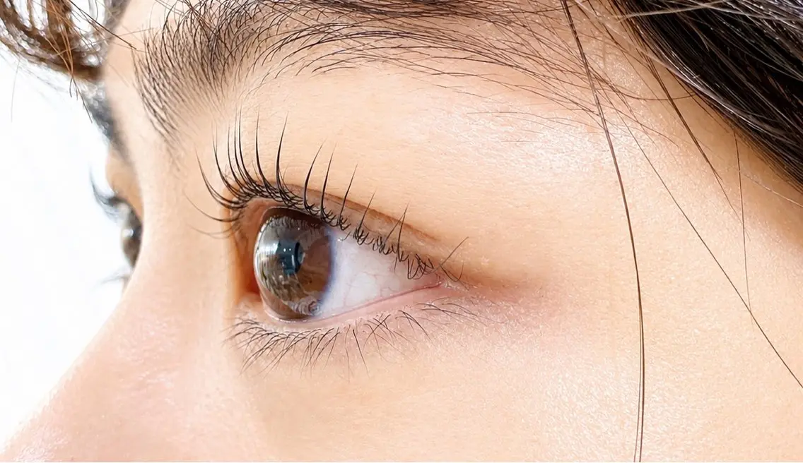 パーマ VELISSE EYELASHのマツエク・マツパデザイン