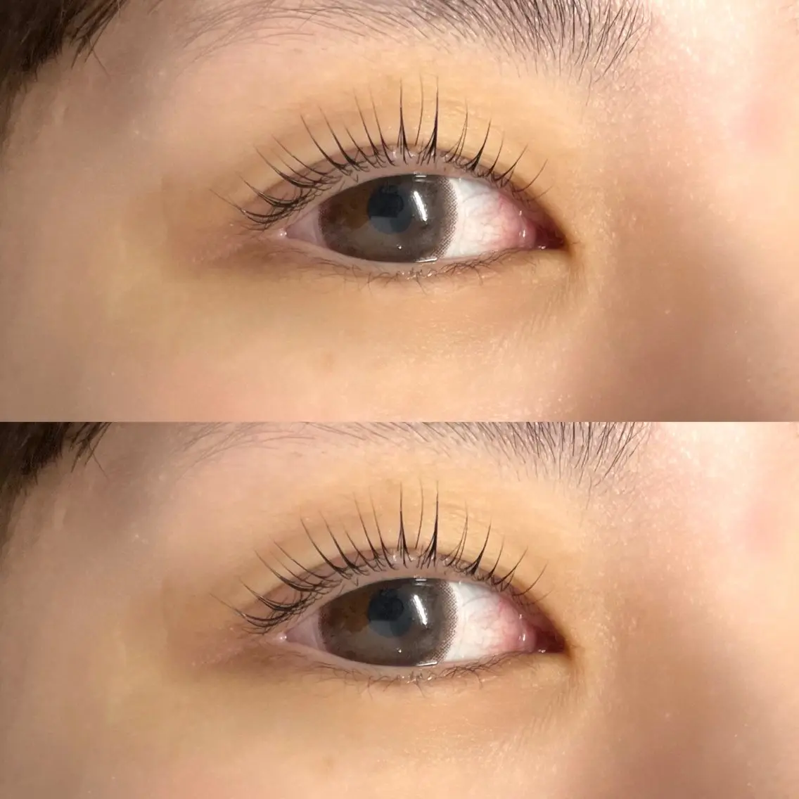 パリジェンヌ(トリートメント付き)+アイブロウWax🫧の写真