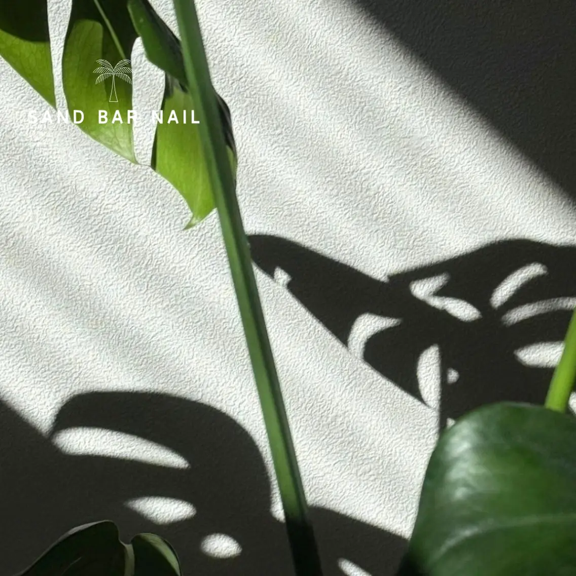 ネイル SAND BAR  NAILのネイルデザイン
