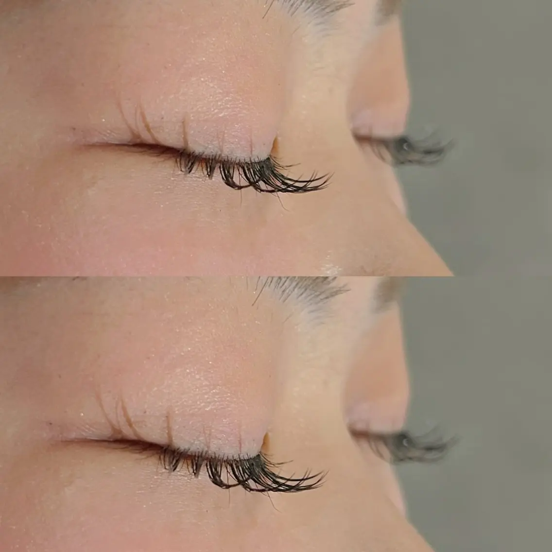 フラットラッシュ100本👀🌱の写真