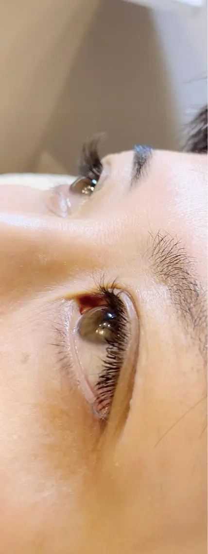 フラットセーブルで外国人風eyeグレイッシュブラウン　100本の写真