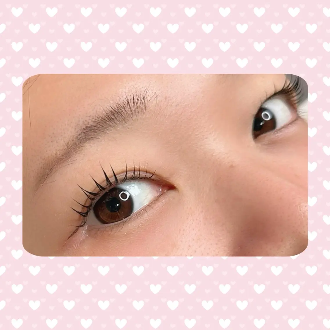 16時半~限定‼️🐈⬛🎀練習モデル🎀パリジェンヌの写真