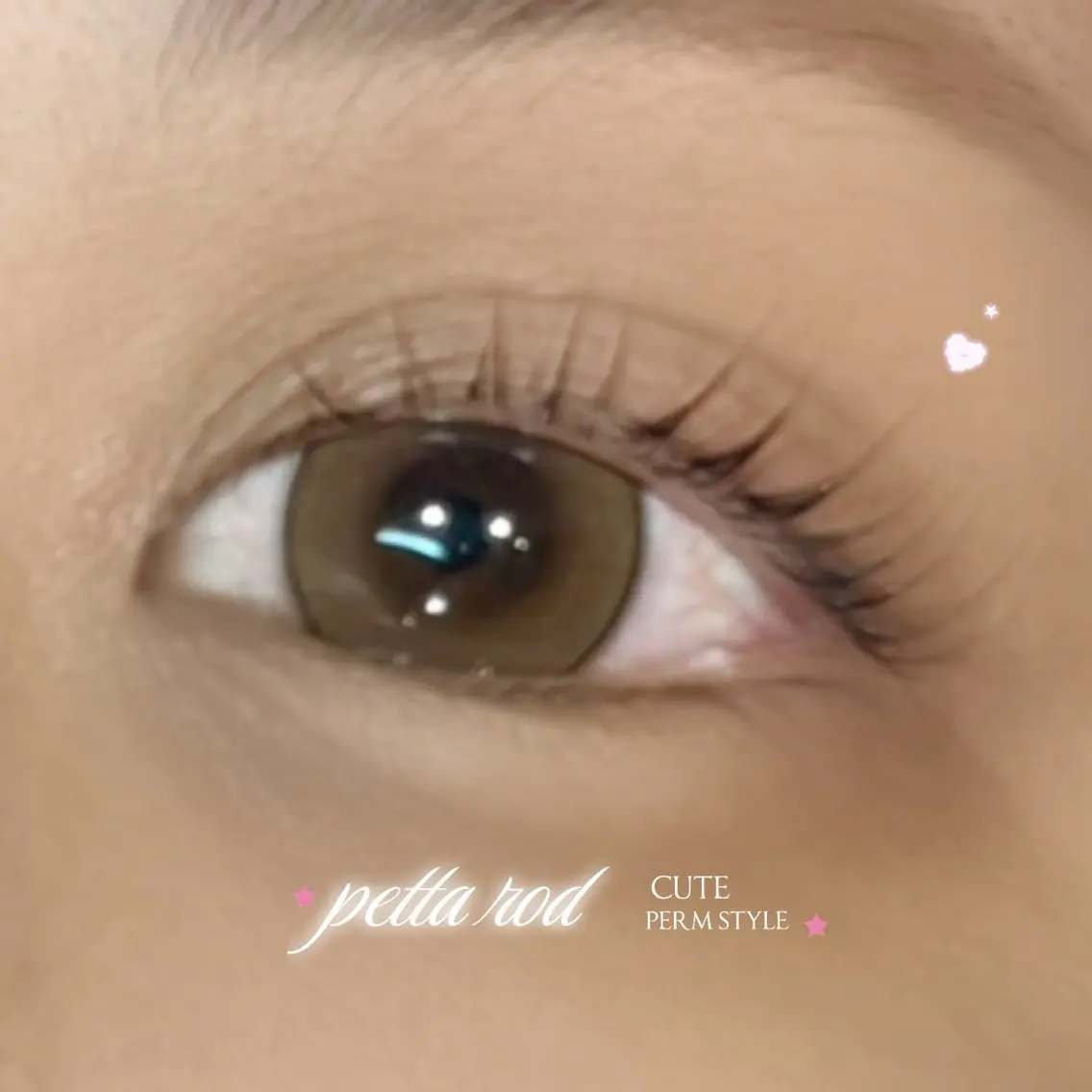 🍒選べる上まつげパーマ👀"ジュニアクーポン"の写真