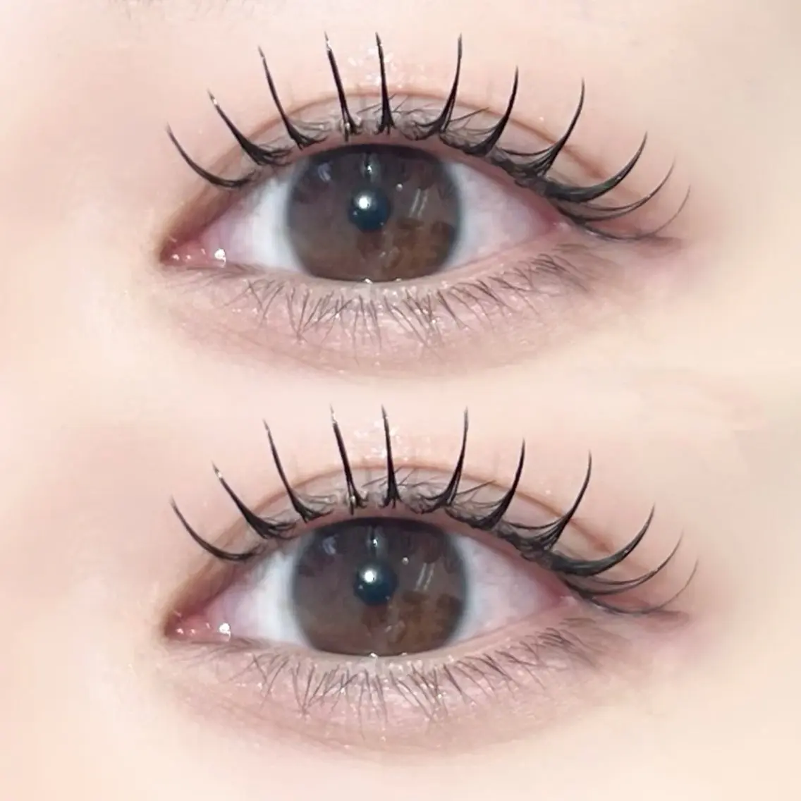 《🎀✨️大人気毛質✨️🎀》 Premium Flatlash 100本 ➳♡゛の写真
