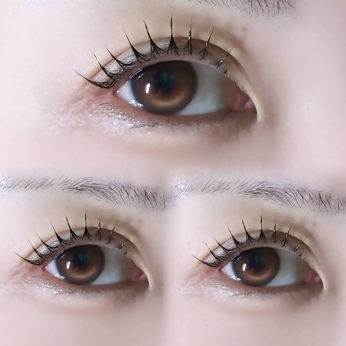 マツエク・マツパ マツパ 【MEPP】たにわき ゆうなの眉毛・アイブロウイメージ