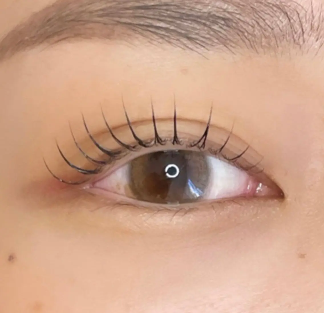 マツエク・マツパ パリジェンヌラッシュリフト eyelash 大正のマツエク・マツパデザイン