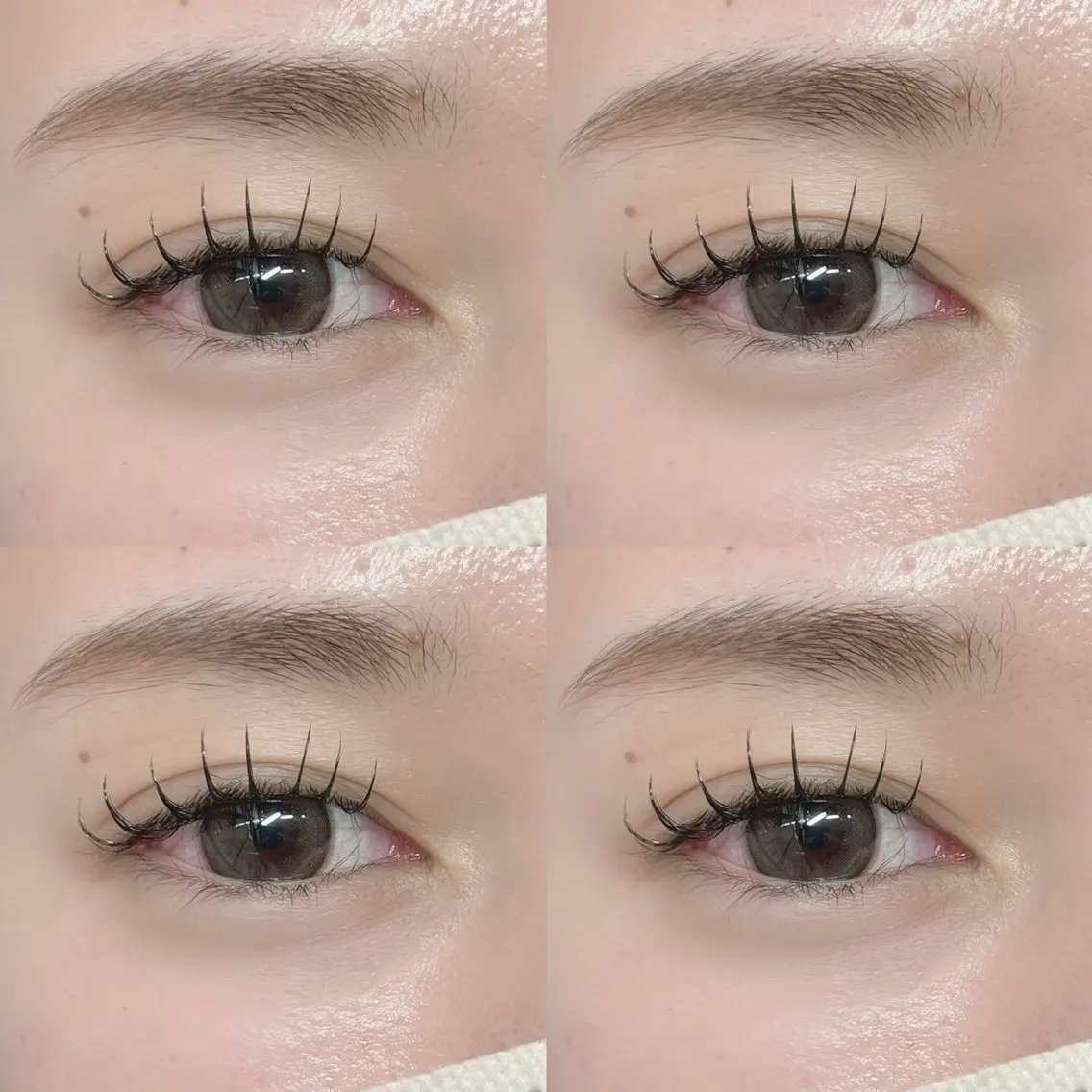 マツエク・マツパ バインドロック 束感まつ毛 フラットラッシュ パリジェンヌラッシュリフト 一重×まつ毛パーマ 🪐WOLTOKYO 🪐yu-kiのマツエク・マツパデザイン