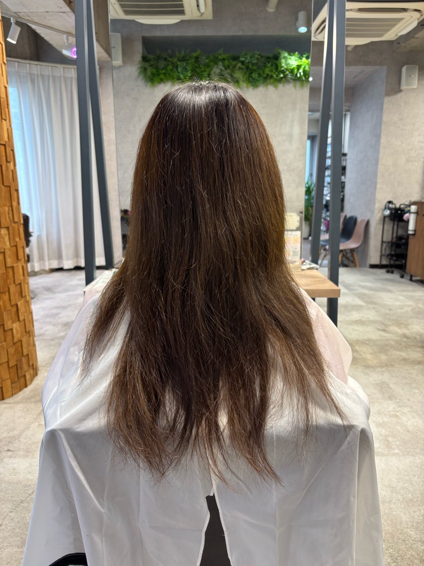 ミディアム カット ヘアカラー トリートメント 艶髪艶カラー 🔥平口はのんのヘアスタイル
