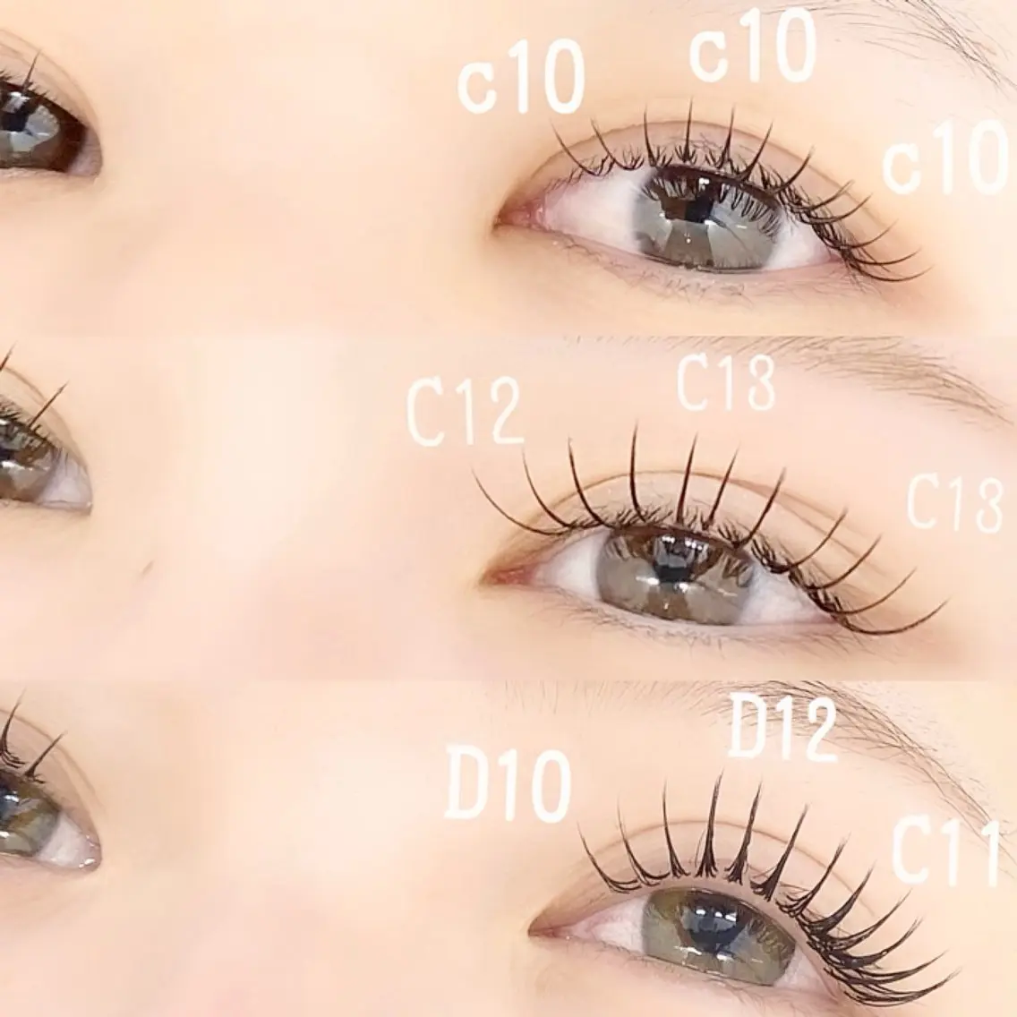 🌷セーブル100本の写真