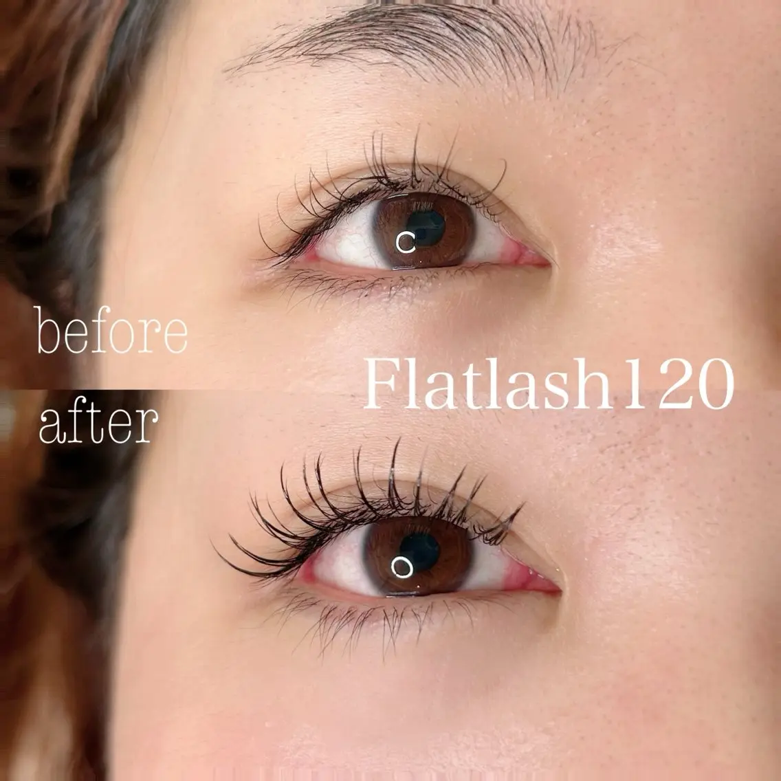 マツエク・マツパ フラットラッシュ マツエク elua eyelashの眉毛・アイブロウイメージ