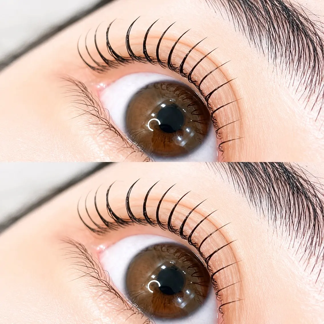 パーマ VELISSE EYELASHのマツエク・マツパデザイン