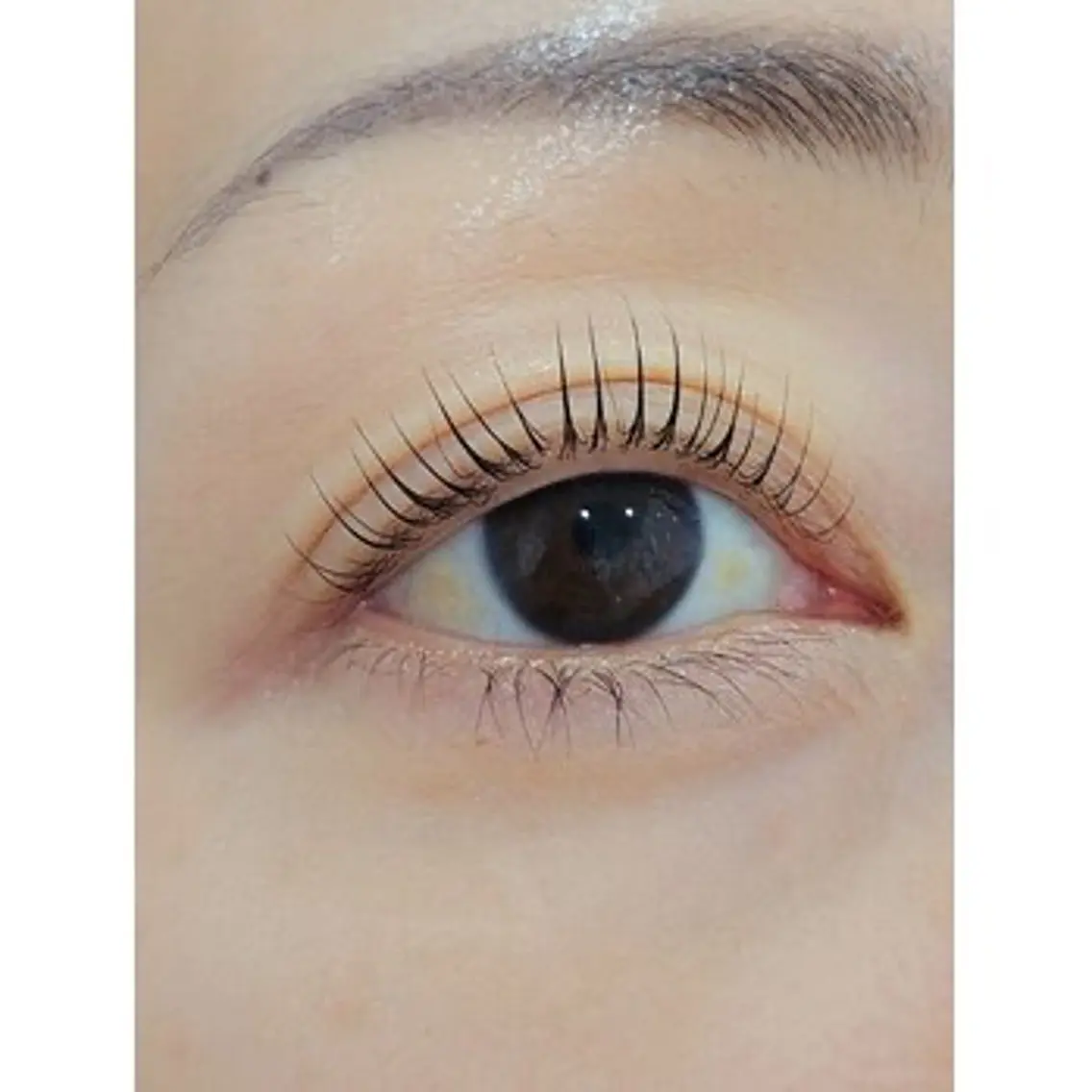 マツエク・マツパ Lien eyelashのマツエク・マツパデザイン