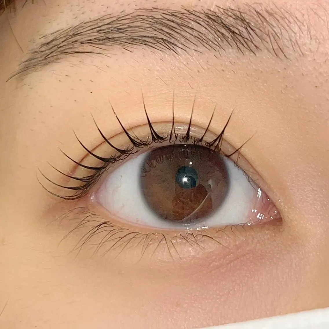 マツエク・マツパ パリジェンヌラッシュリフト まつげパーマ ai一重専門🎀束感 まつげ🫧表参道の眉毛・アイブロウイメージ