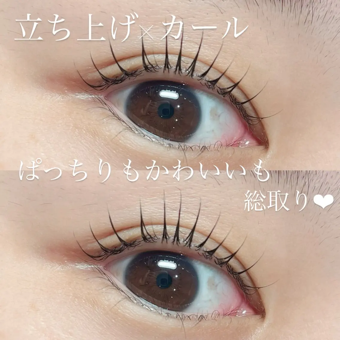 マツエク・マツパ まつげパーマ 一重×まつ毛パーマ statice/島垣 （シマガキ）のマツエク・マツパデザイン