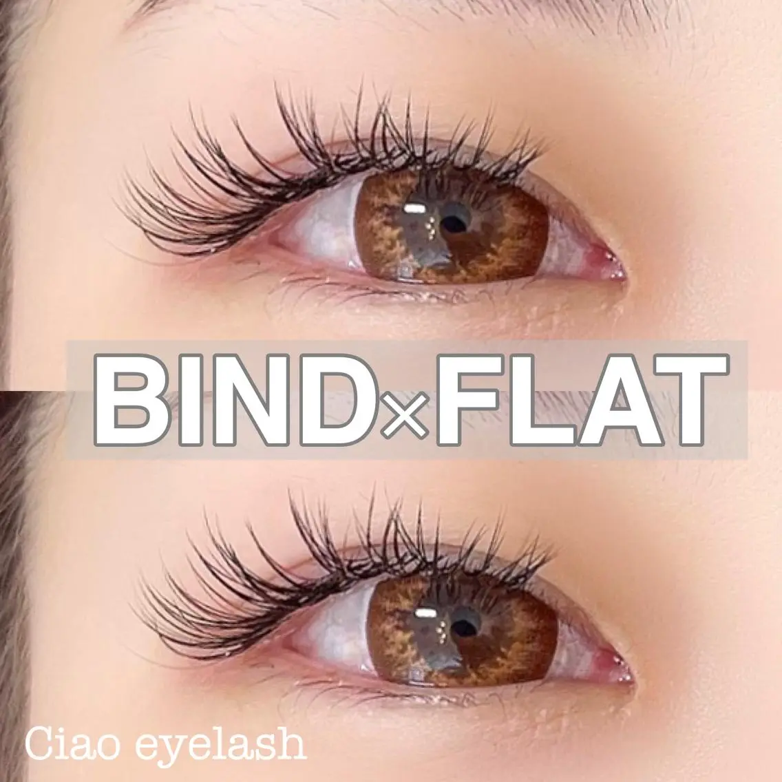 【人気No.2】MIX240(BIND60束、フラット60本)ご新規様オフ込みの写真