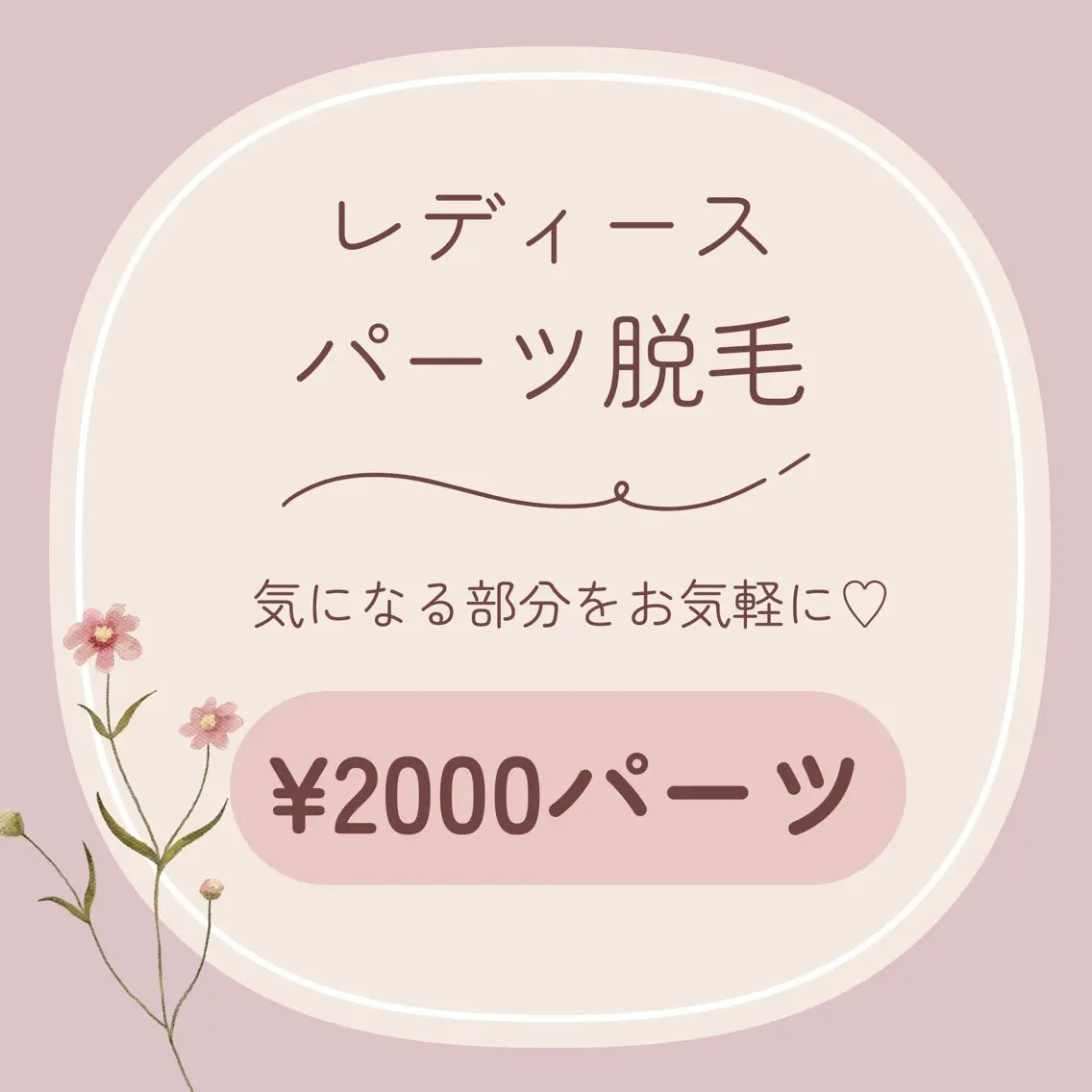 レディース┊ パーツ脱毛┊ 各¥2000パーツの写真