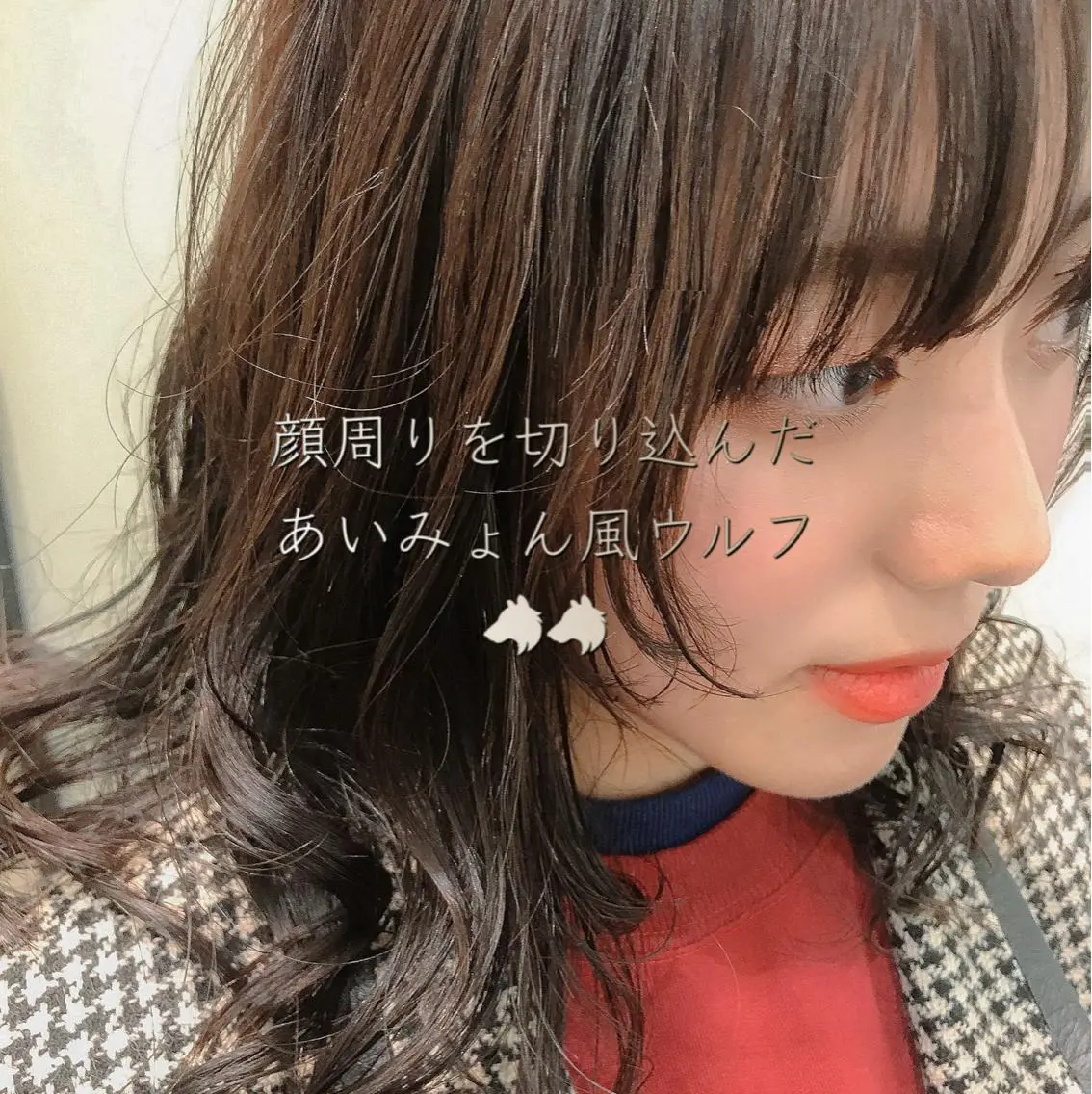 ミディアム ミディアムパーマ ウルフカット 丹羽 駿太のヘアスタイル