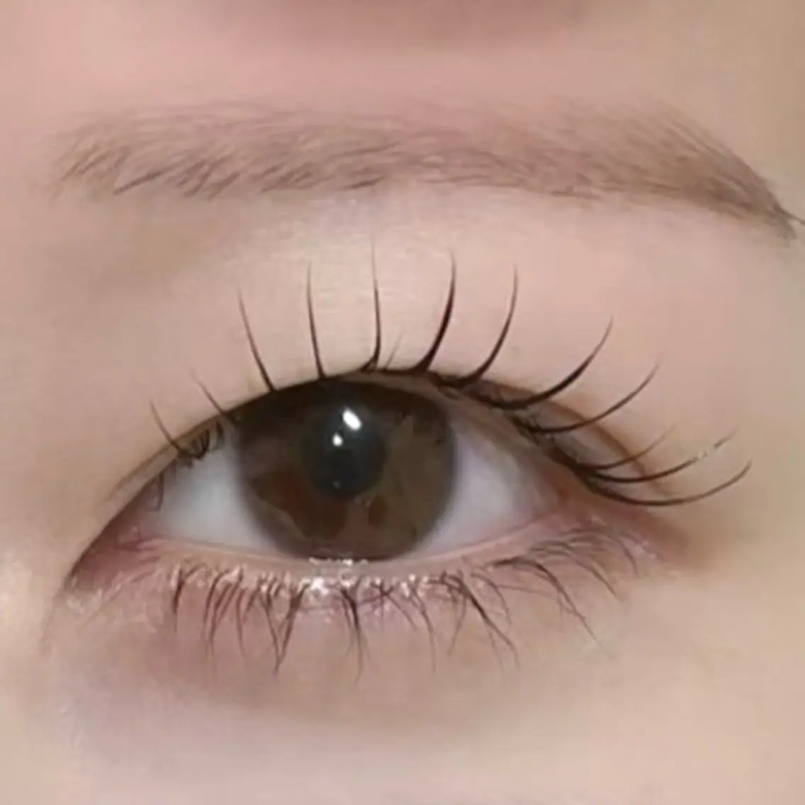 【口コミ・写真動画OK📷】まつげパーマ＋美眉WAX骨格デザインスタイリングの写真