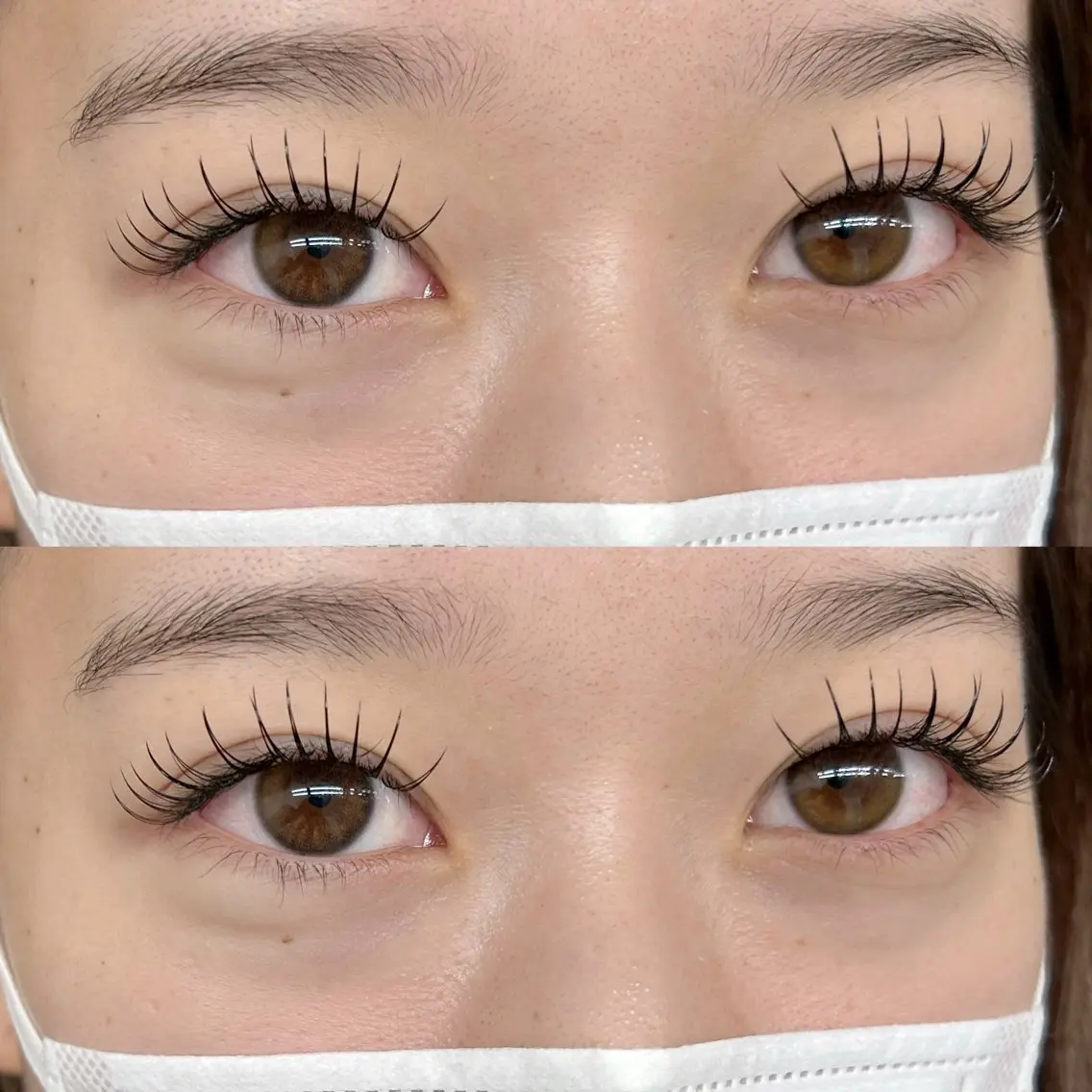 フラットラッシュ140本の写真