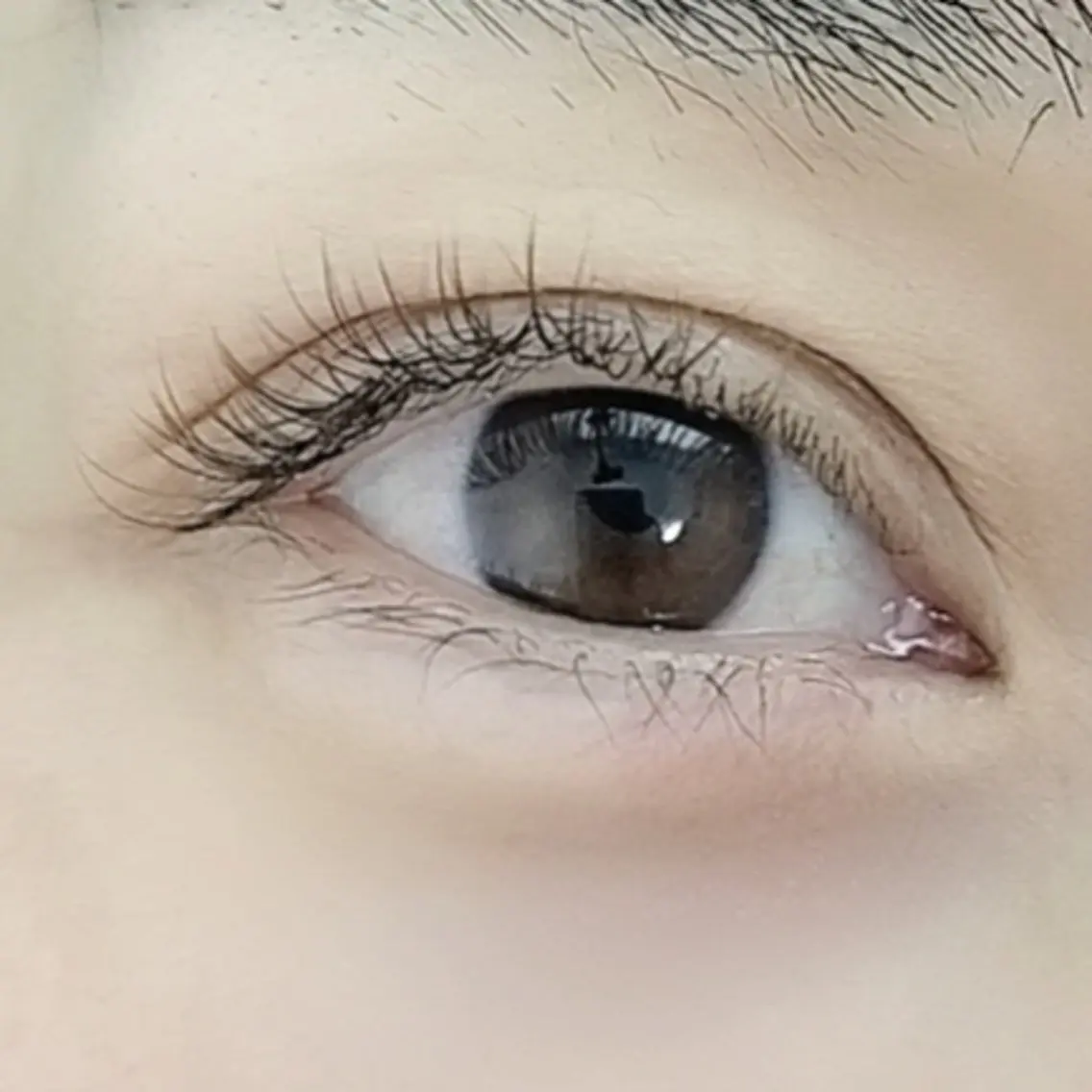 【ご新規様限定✨】マツエク 80本 束感コーティング仕上げ✨の写真