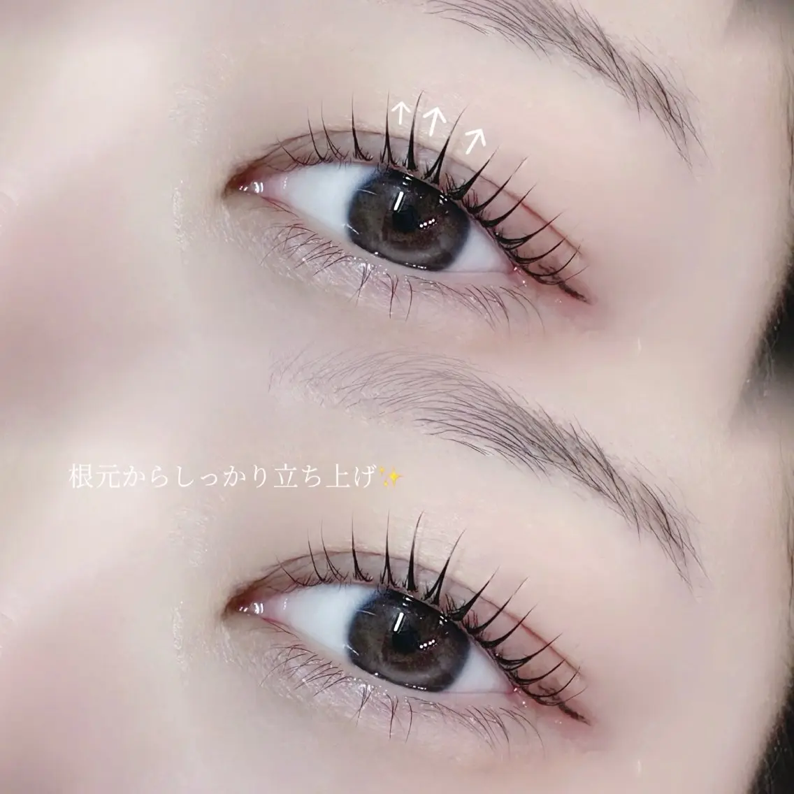 ラッシュリフト上のみの写真