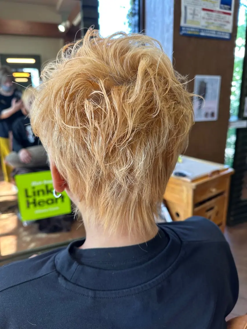 ショート カラー 新田 甲のヘアスタイル