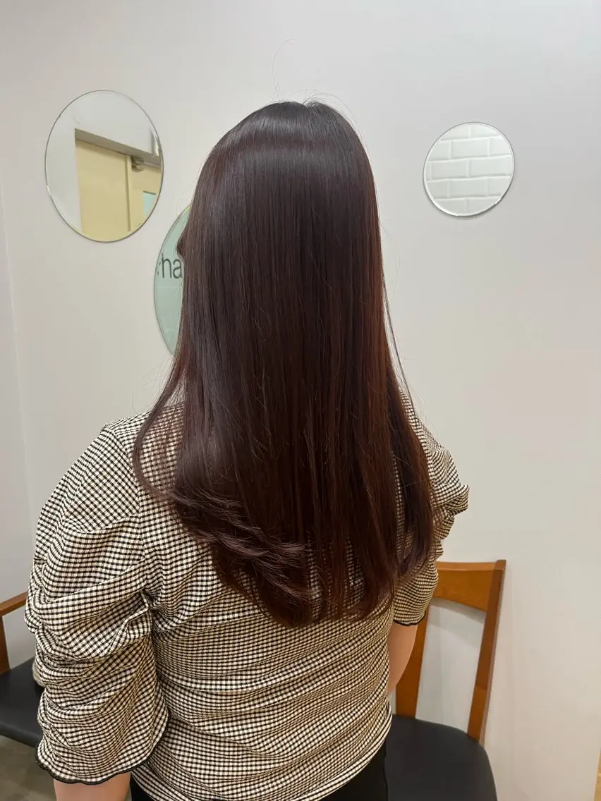 カットモデルの写真