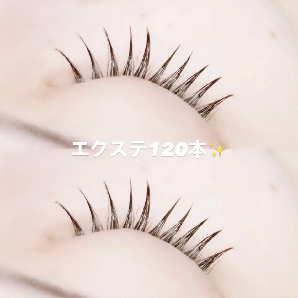 フラットラッシュ120本🌱の写真