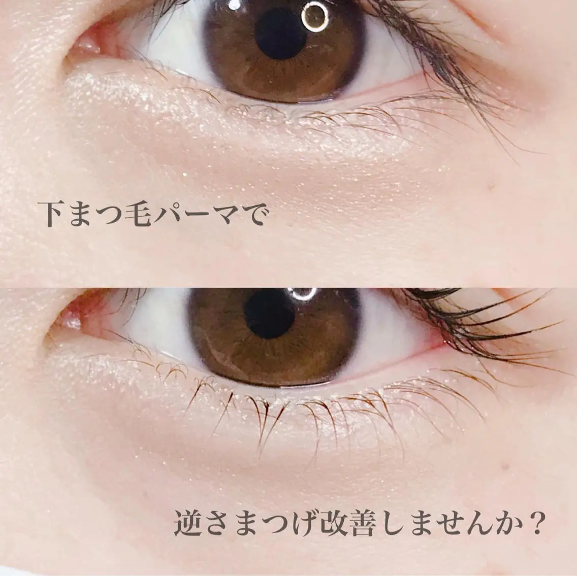 マツエク・マツパ 下まつげエクステ 一重×まつ毛パーマ eyelash catwinkのマツエク・マツパデザイン