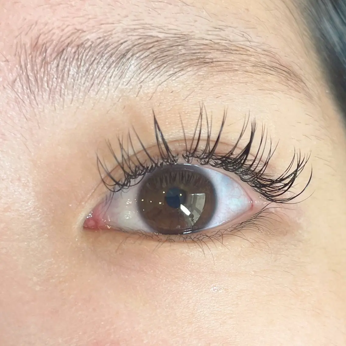 マツエク・マツパ まつげパーマ 下まつげエクステ eyelash / mizukiの眉毛・アイブロウイメージ