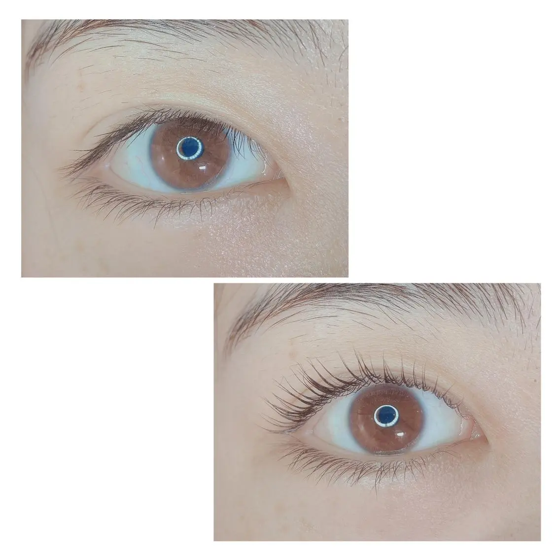 マツエク・マツパ TIARA池袋西口店 店長YASUKA💐のマツエク・マツパデザイン