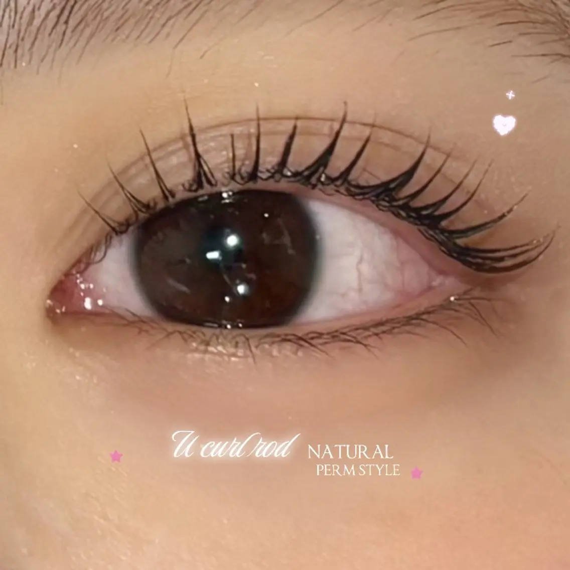🌺パリジェンヌラッシュリフト👀✨️"ジュニアクーポン"の写真