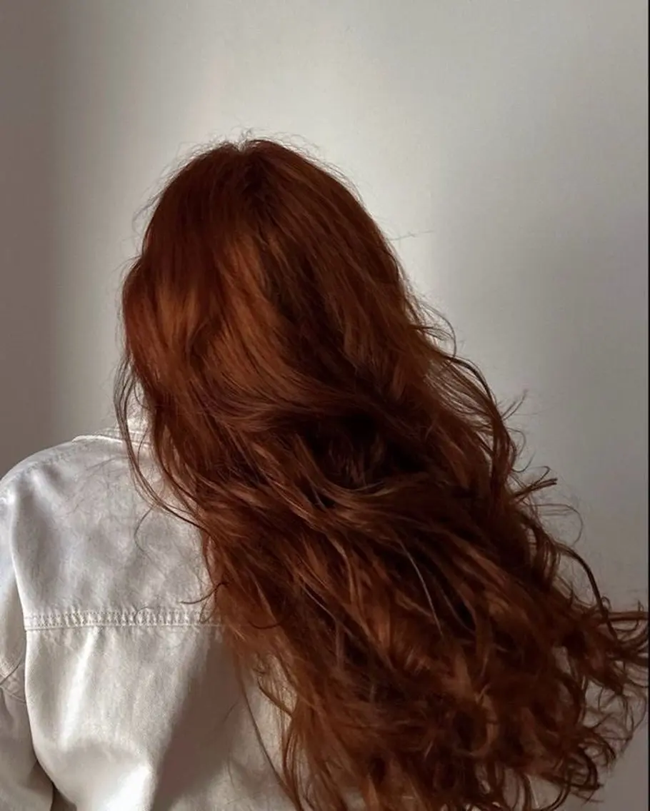 ロング カラー ブラウンカラー オレンジ オレンジブラウン カット ヘアカラー トリートメント Fukamiレイヤー /透明感/フェードのヘアスタイル