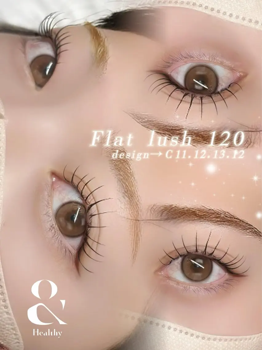 フラットラッシュ 120本の写真