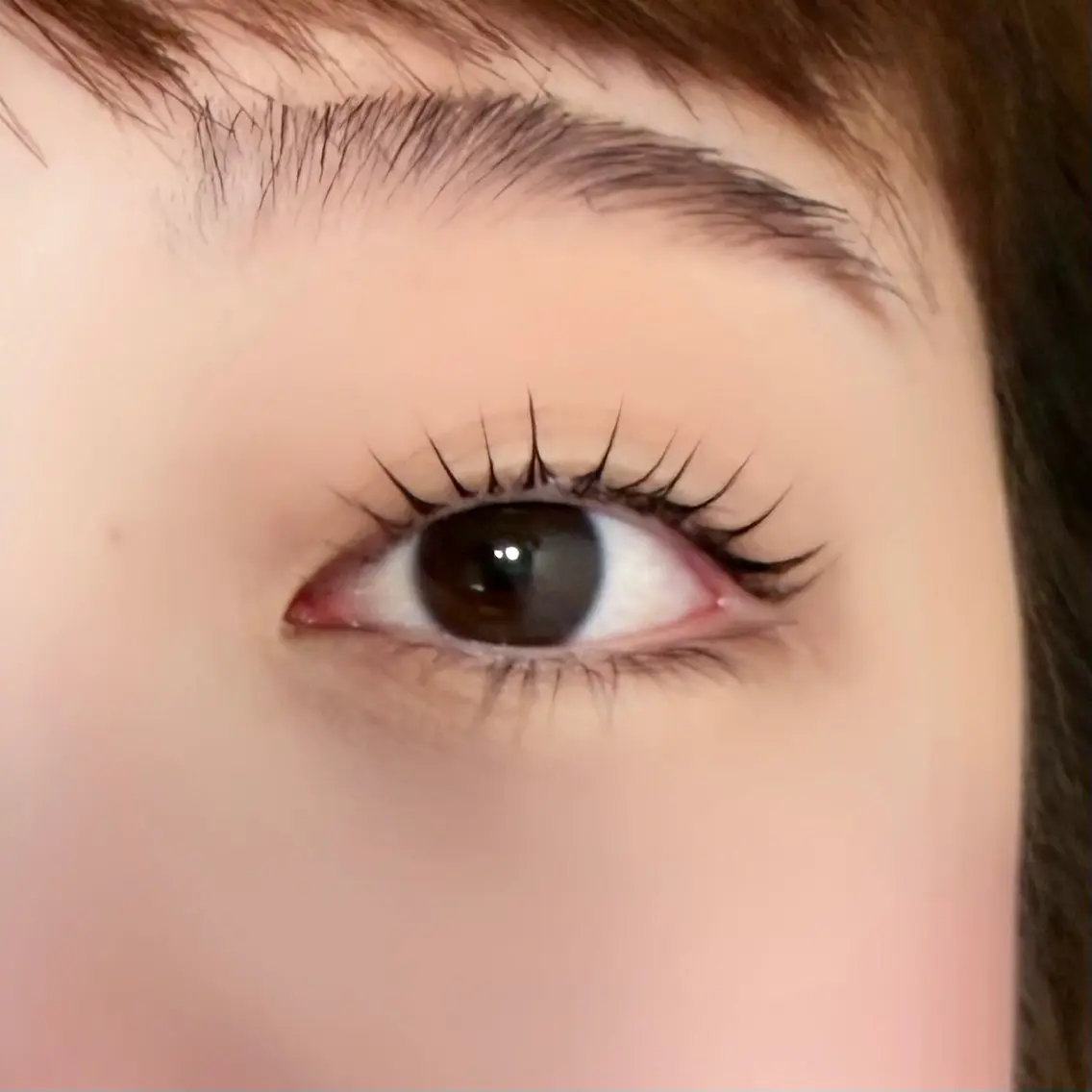 マツエク・マツパ eyela mizuki🧸のマツエク・マツパデザイン