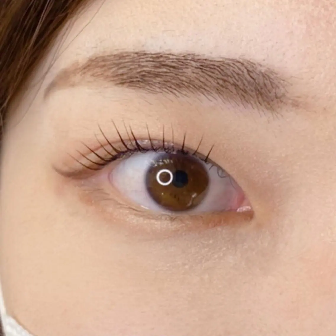 マツエク・マツパ パリジェンヌラッシュリフト eyelash catwinkのマツエク・マツパデザイン