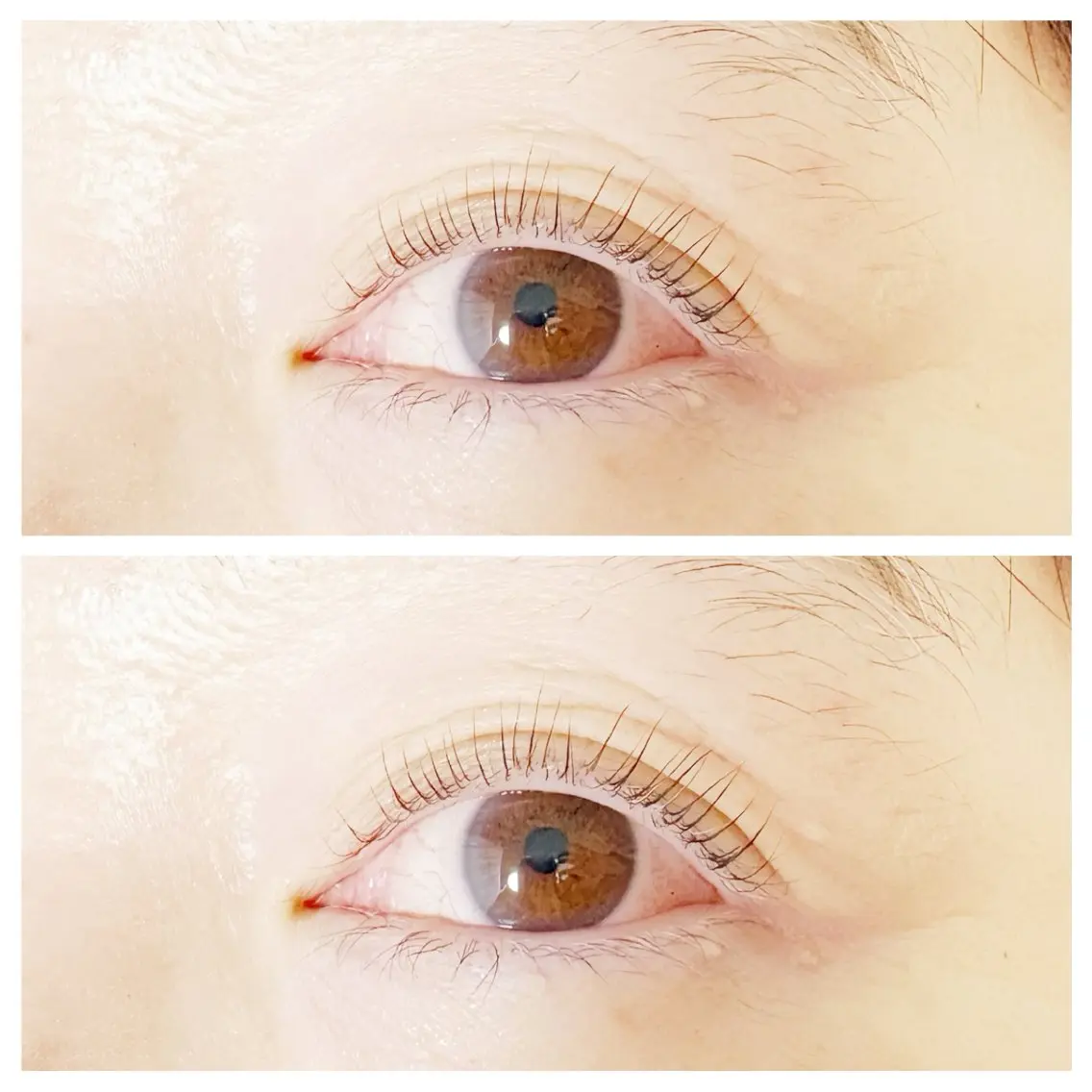 マツエク・マツパ マツパ plume eyelashのマツエク・マツパデザイン